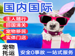 惠州航空快递国际宠物托运 【国